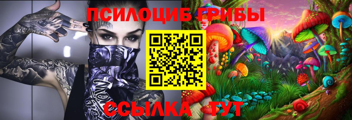 Псилоцибиновые грибы прущие грибы  Вход с VPN  Абинск 